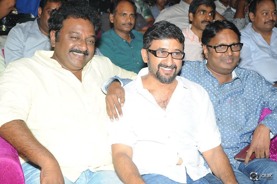 Hora-Hori-Movie-Audio-Launch